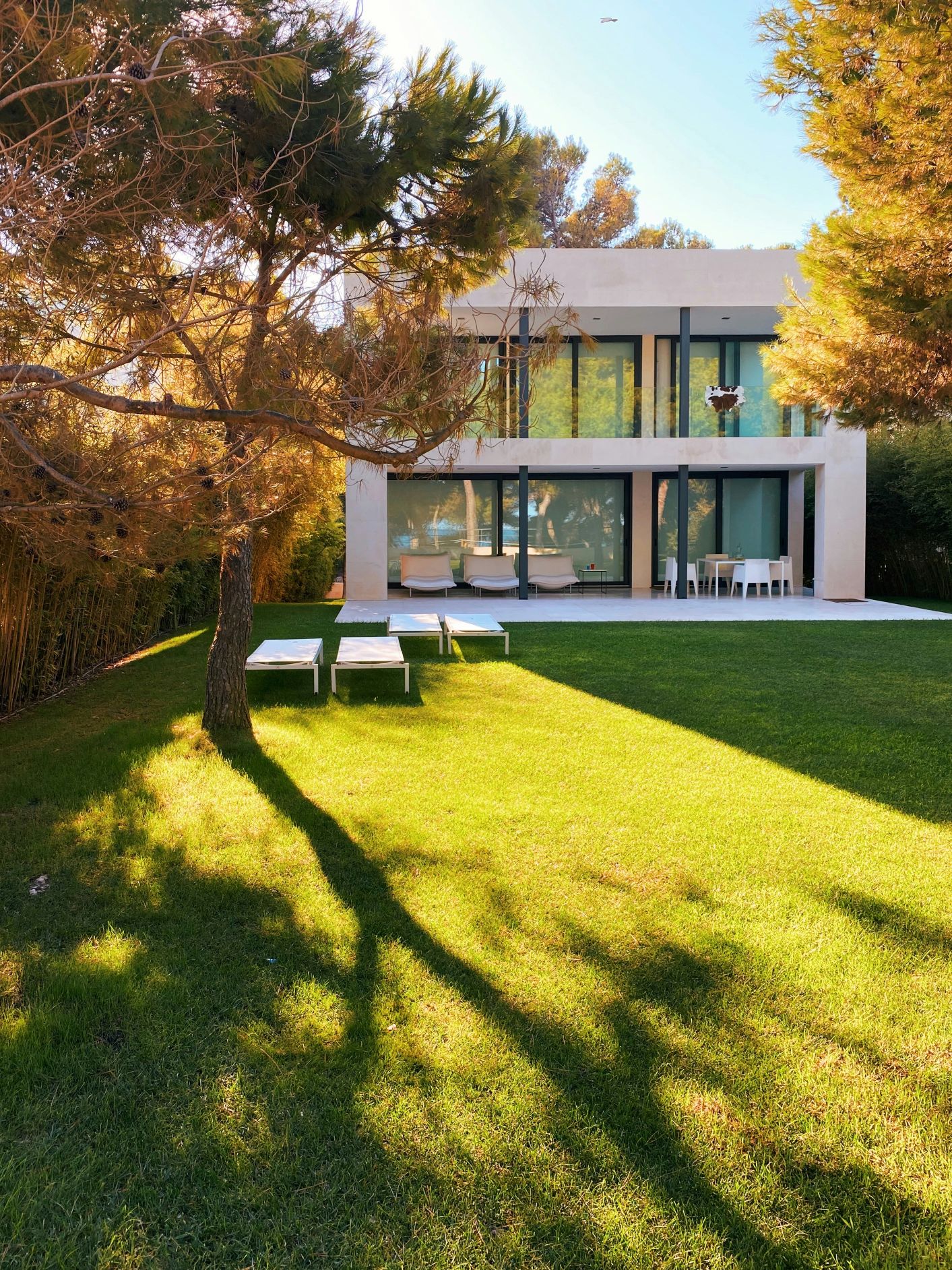 property img